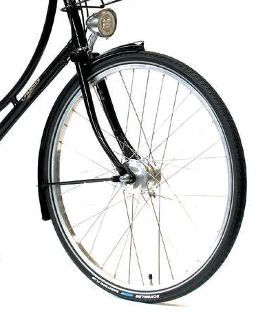 Pashley Princess Sovereign 5 Black