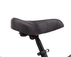 Electra Townie 7D EQ Step Thru Purple 26