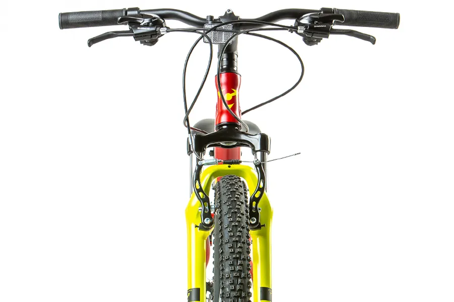 Corto LYNX